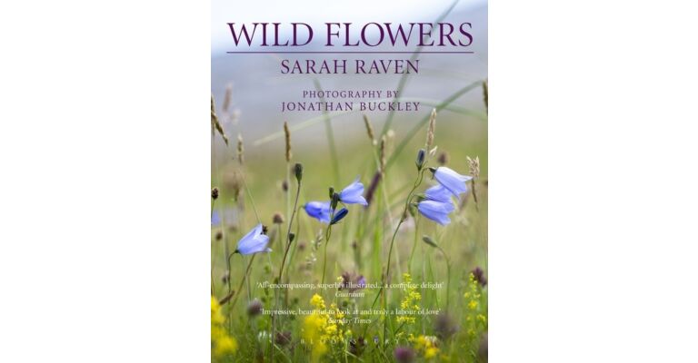 Wild Flowers