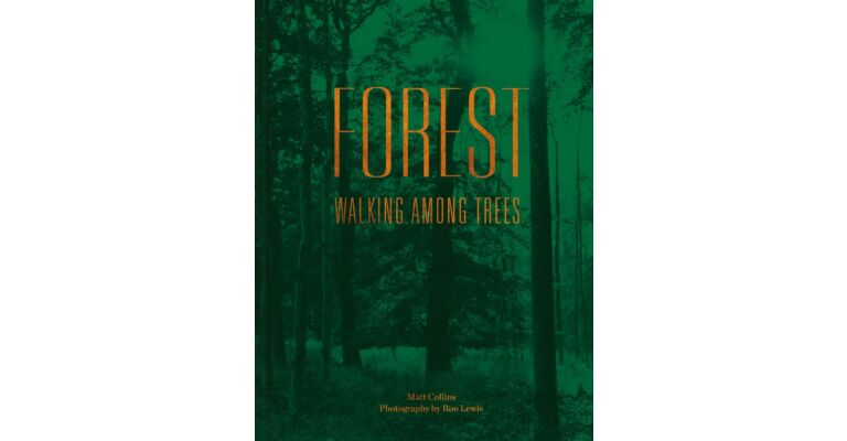 Forest : Walking among Trees