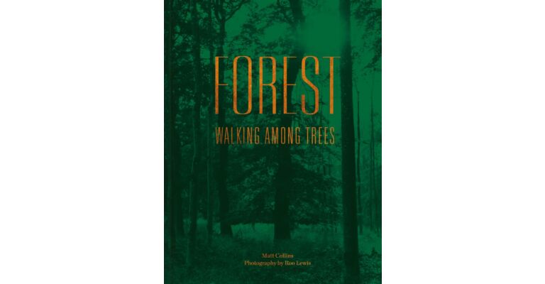 Forest : Walking among Trees