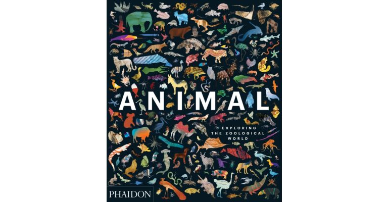 Animal - Exploring the Zoological World