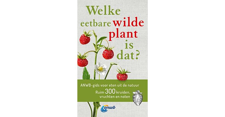 Welke eetbare wilde plant is dat?