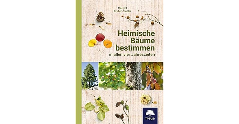 Heimische Bäume bestimmen in allen vier Jahreszeiten