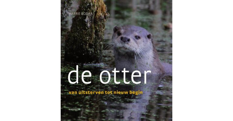 De Otter - Van uitsterven tot nieuw begin