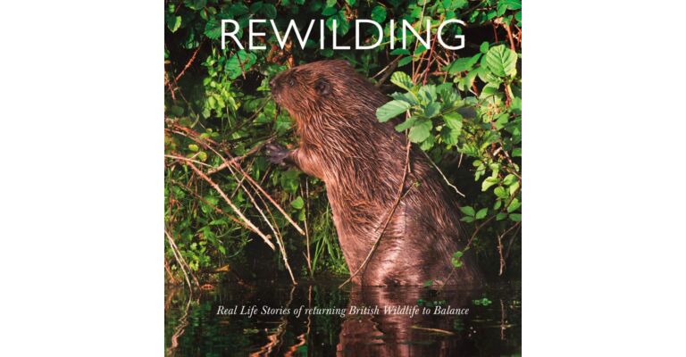 Rewilding - Real Life Stories of Returning British Wildlife to Balance
