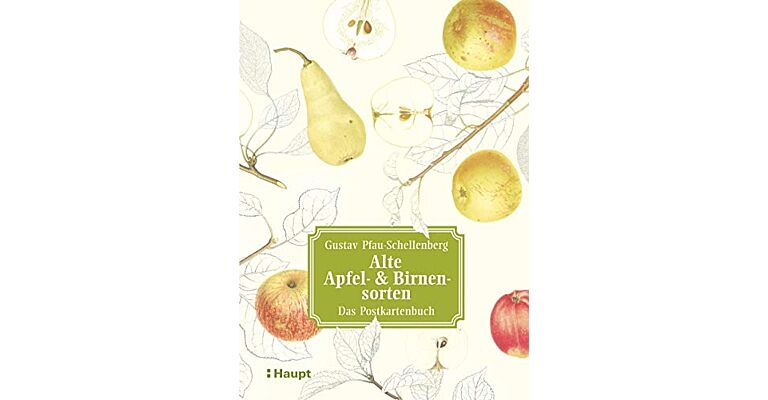 Alte Apfel- & Birnensorten - Das Postkartenbuch