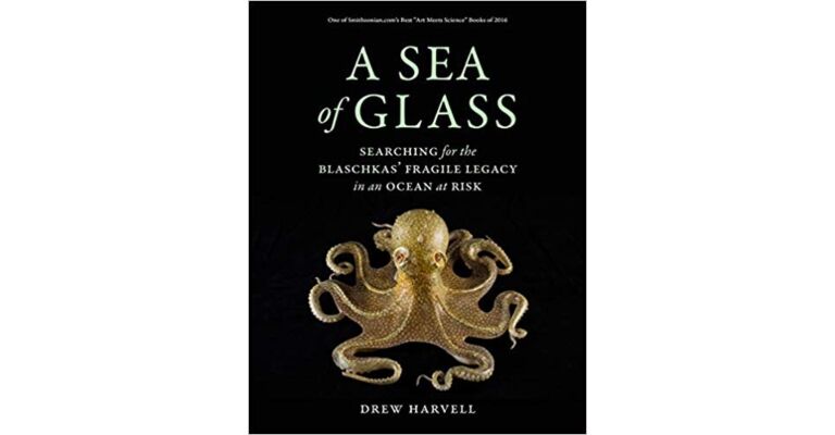 Sea of Glass - Searching for the Blaschkas` Fragile Legacy in an Ocean at Risk (PBK)