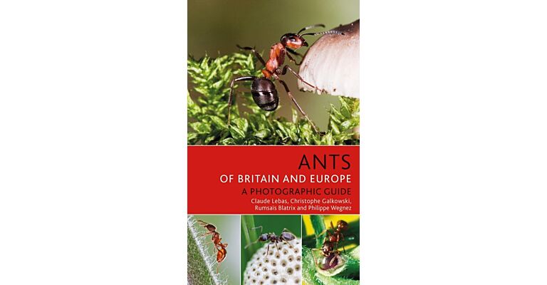 Ants of Britain and Europe - A Photographic Guide