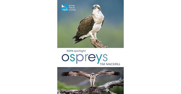 RSPB Spotlight - Osprey