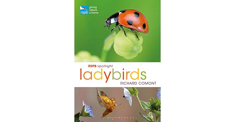 RSPB Spotlight - Ladybirds