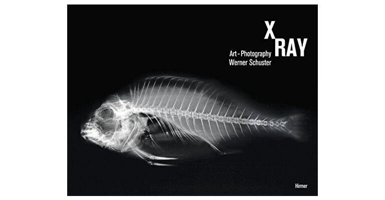 X-Ray : Art-Photography