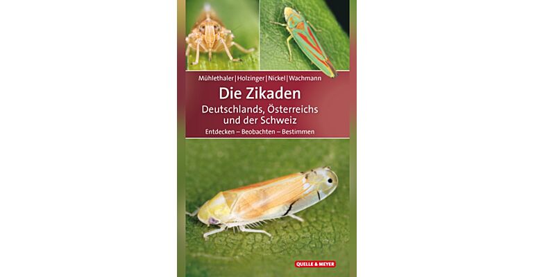 Die Zikaden Deutschlands, Österreichs und der Schweiz