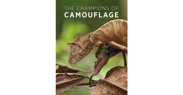 Champions of Camouflage