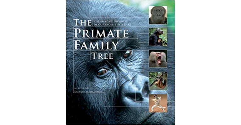 The Primate Family Tree