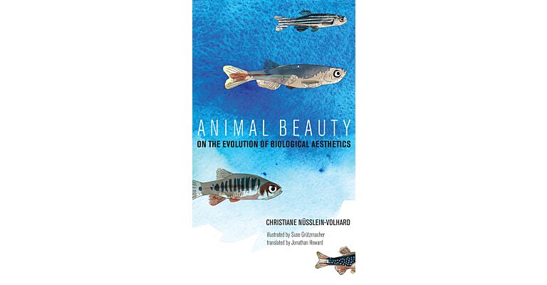 Animal Beauty - On the Evolution of Biological Aesthetics