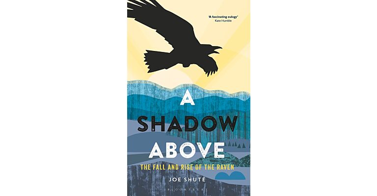 A Shadow Above : The Fall and Rise of the Raven (paperback)