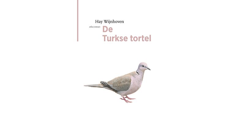 De Turkse Tortel