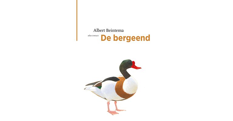 De Bergeend