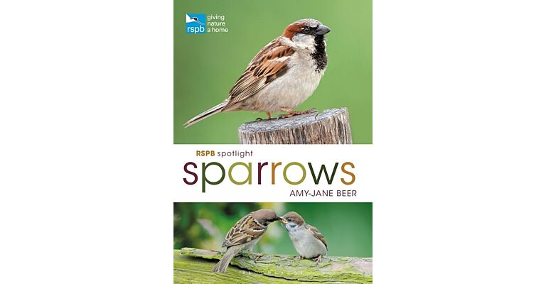 RSPB Spotlight - Sparrows