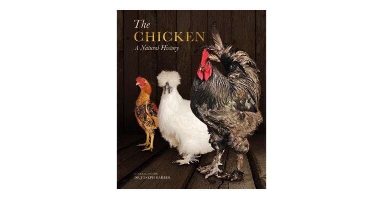 The Chicken (PBK)