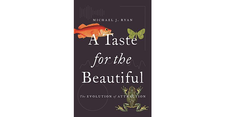 A Taste for the Beautiful - The Evolution of Atraction