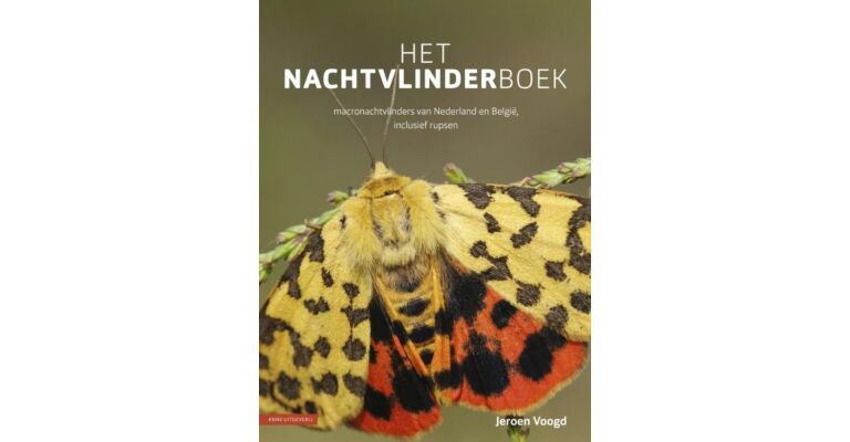 Het Nachtvlinderboek - Macronachtvlinders van Nederland en België, inclusief Rupsen