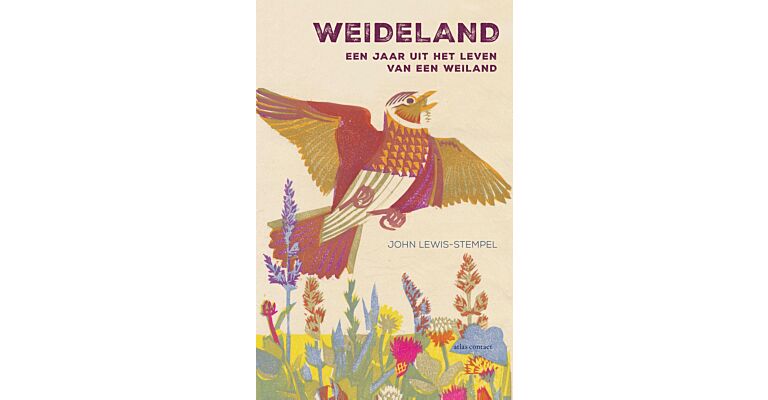 Weideland - Een jaar uit het leven van een weiland