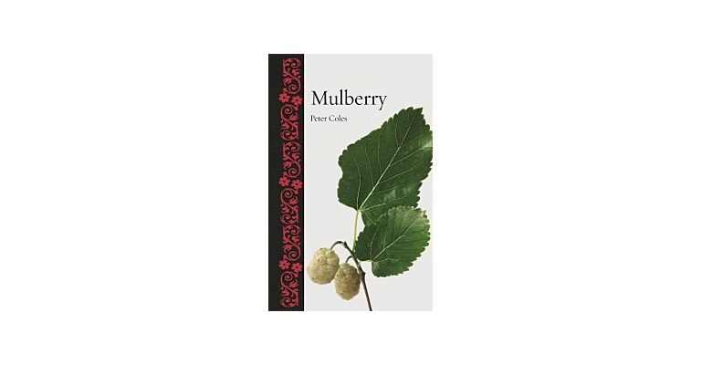 Mulberry