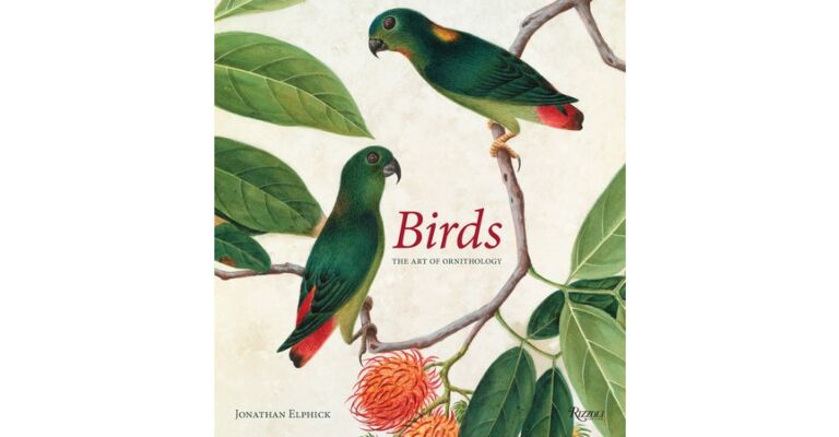 Birds: The Art of Ornithology (Autumn 2019)