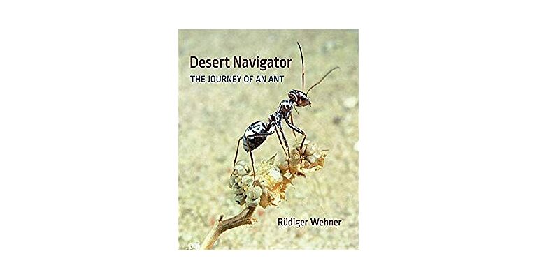 Desert Navigator - The Journey of an Ant