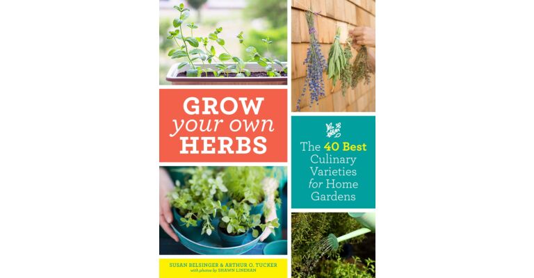 Grow your own Herbs - The 40 best culinary varieties for your garden