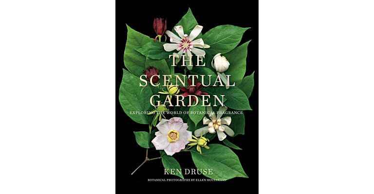 The Scentual Garden - Exploring the World of Botanical Fragrance