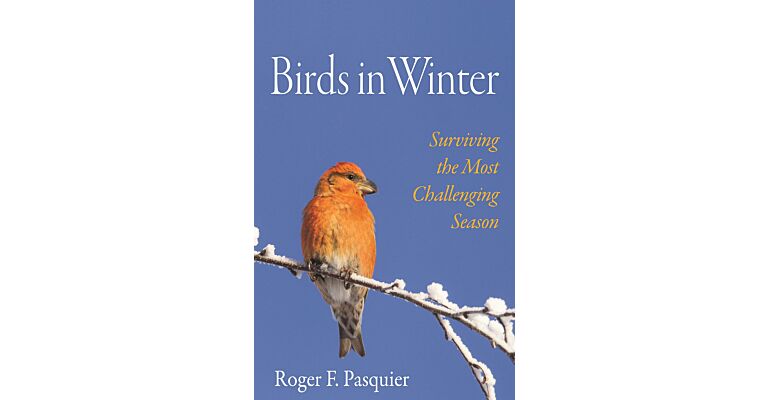 Birds in Winter - Surviving the Most Challening Season