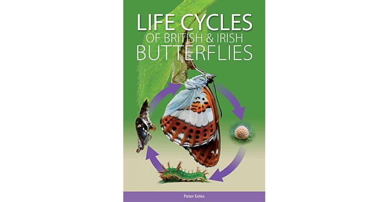 Life Cycles of British & Irish Butterflies