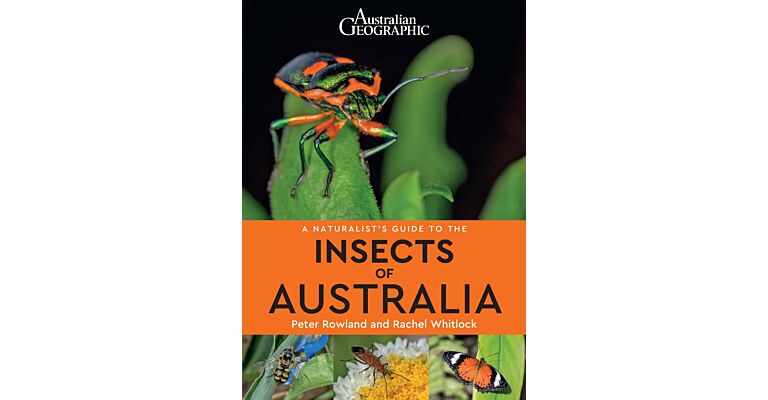 A Naturalist's Guide to the Insects of Australia