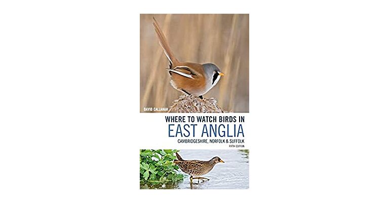 Where to Watch Birds in East Anglia