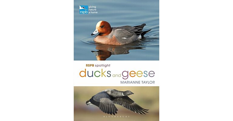 RSPB Spotlight - Ducks and Geese
