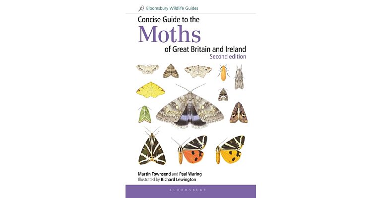 Concise Guide to the Moths of Great Britain and Ireland