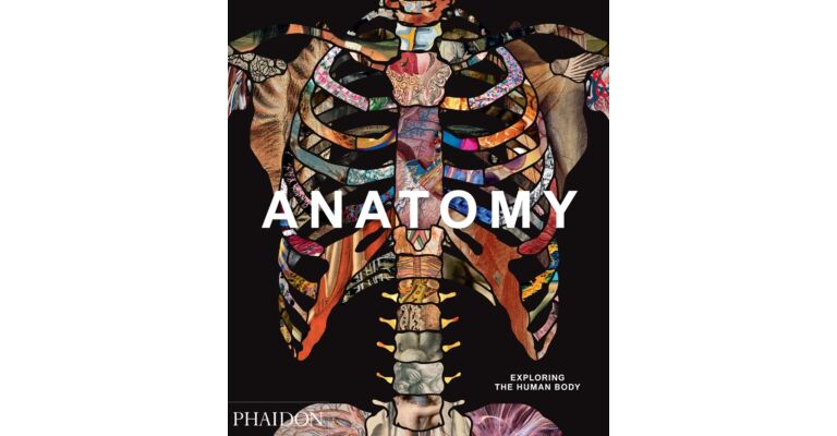 Anatomy - Exploring the Human Body