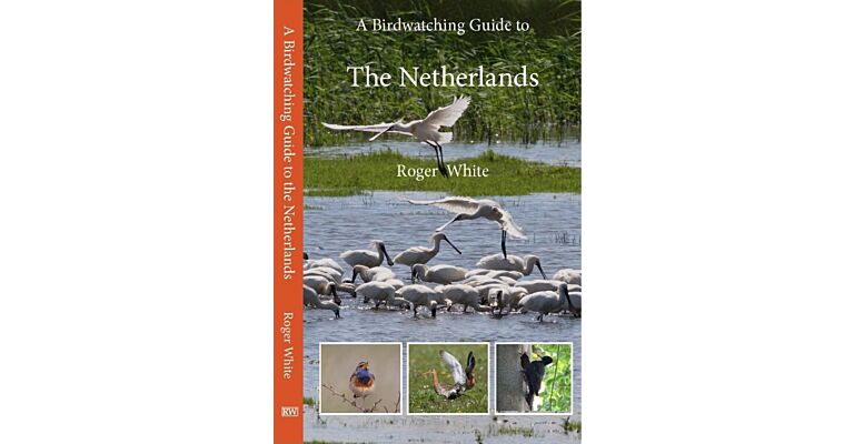 A Birdwatching guide to the Netherlands