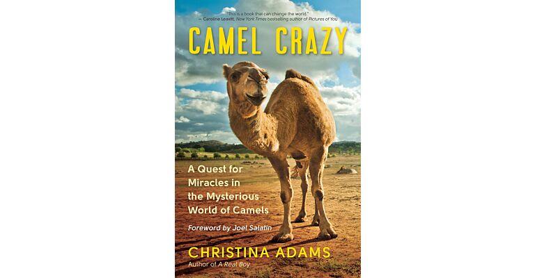 Camel Crazy - A Quest for Healing in the Secret World of Camels