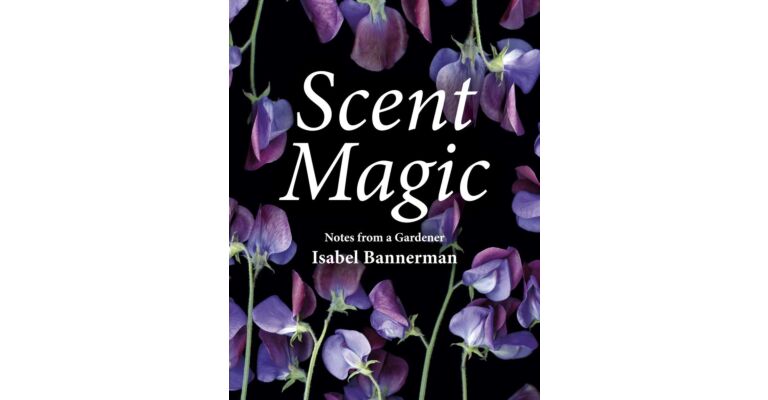 Scent Magic - Notes from a Gardener