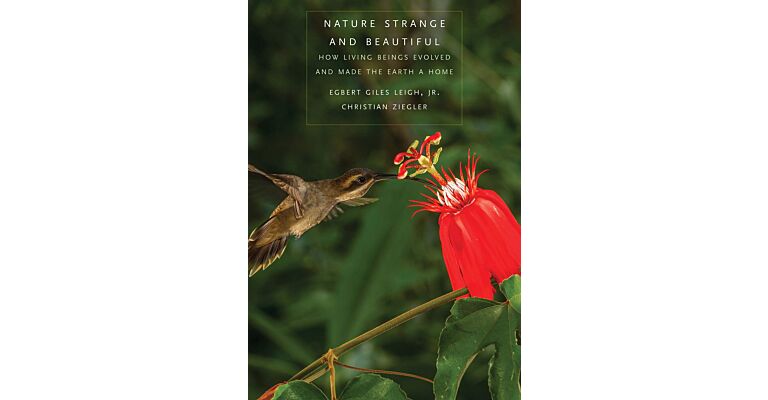 Nature Strange and Beautiful - How Living Beings Evolved and Made The Earth a Home
