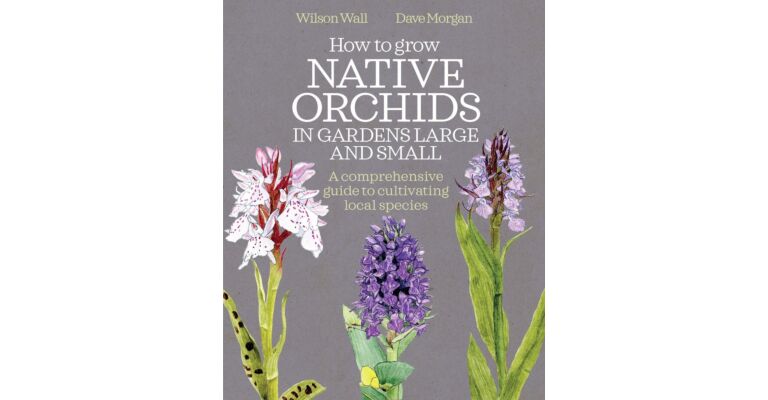 How to Grow Native Orchids in Gardens Large and Small