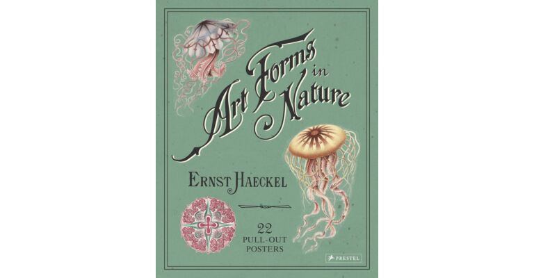 Ernst Haeckel - Art Forms in Nature (22 Pull-Out Posters)