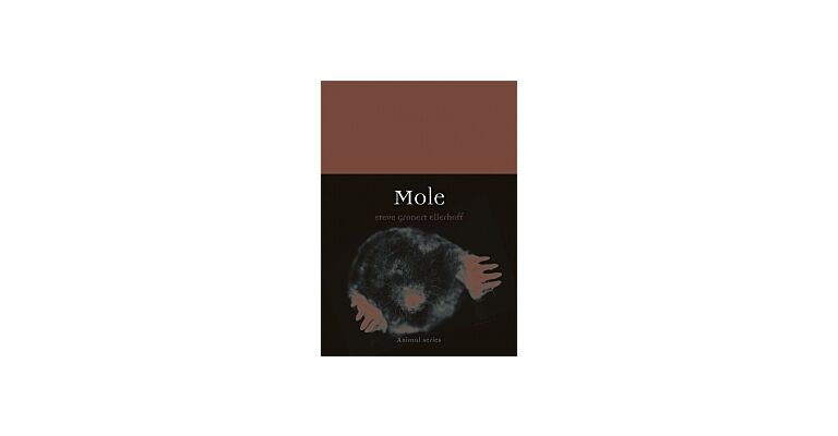 Mole