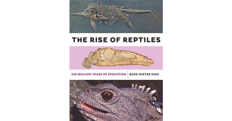 The Rise of Reptiles : 320 Million Years of Evolution