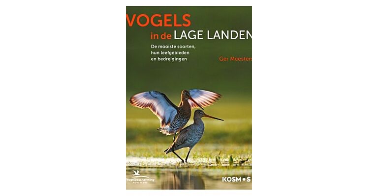 Vogels in de Lage Landen - De mooiste soorten, hun leefgebieden en bedreigingen