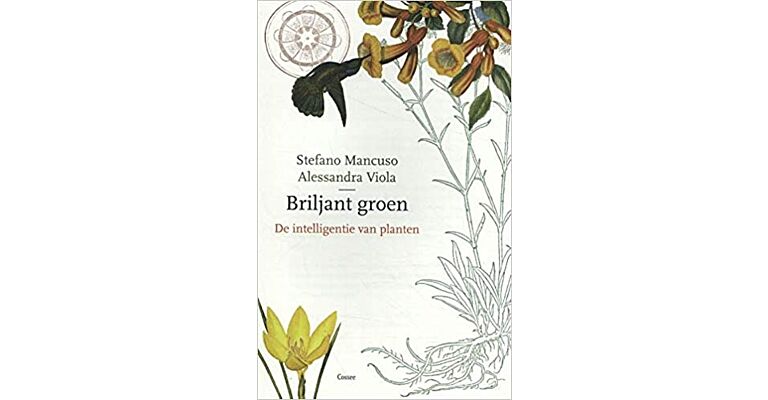 Briljant groen - De intelligentie van planten (paperback)