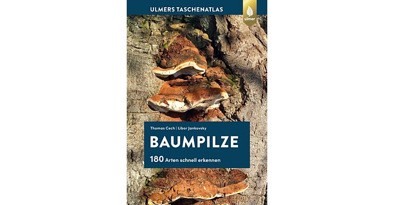 Baumpilze - 180 Arten schnell erkennen