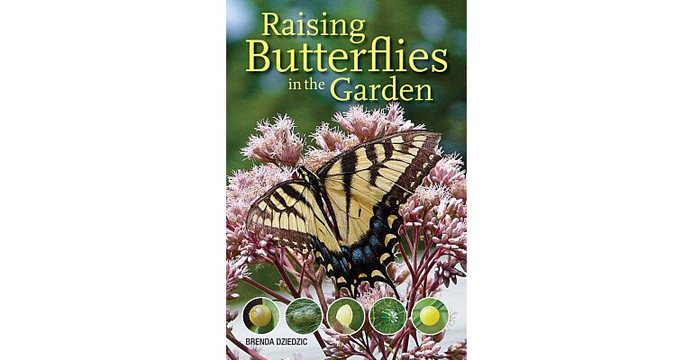 Raising Butterflies in the Garden